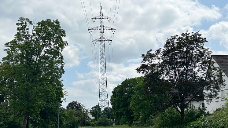 110kV_Ertüchtigung Freileitung Bamberg_1_04062024.jpg