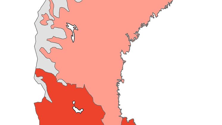Färre lingon i Norrland