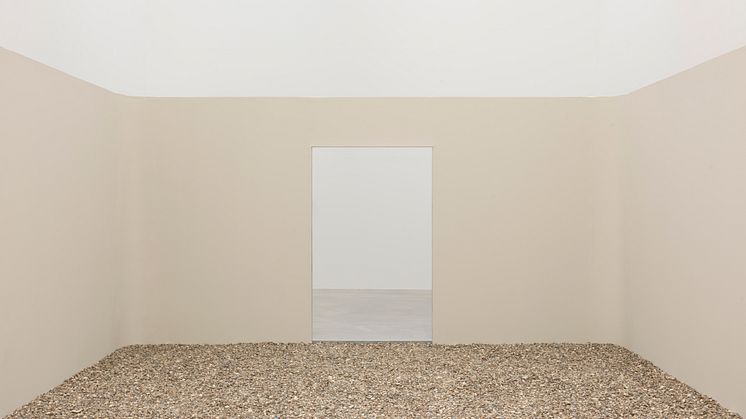 Nina Canell, Muscle Memory, 2022