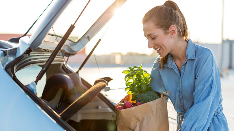 car_is_essential_for_shopping.jpg