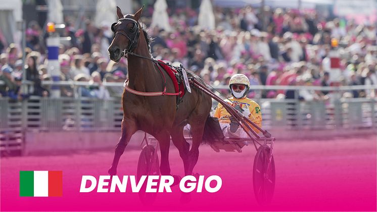 DenverGio_1920x1080.jpg