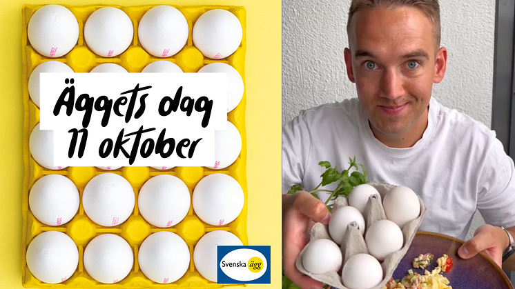Fredagen den 11 oktober firas Äggets Dag över hela världen. Matinspiratören Marcus Frank hyllar de svenska äggen med en härlig och lättlagad äggröra på TikTok och Instagram. Kika in på @Mackanskost!