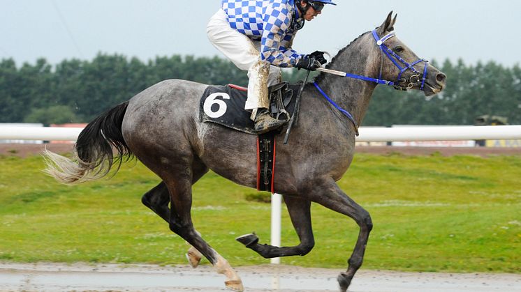 Gharra'a vinner Skandinaviskt Arabderby 2011