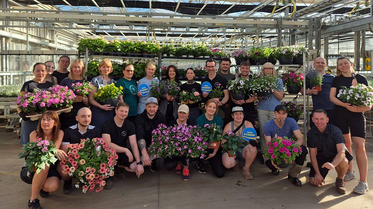 Blomveckorna Från Sverige hålls den 3-16 juni. Tema 2024 är ätbart, torktåligt och sommarblommor. Här berättar Alverbäcks Blommor (på bilden), Tönnersjö Trädgård, Mäster Grön, Splendor Plant och Solgårdens Driverier om veckorna.