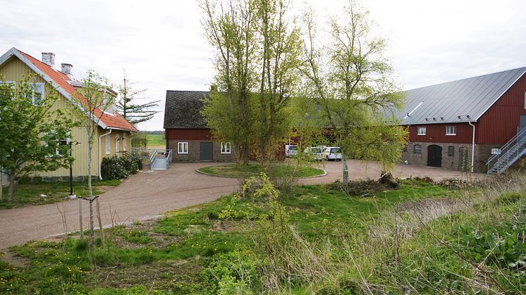 Gårdsplanen på nya dagliga verksamheten Djuramossa