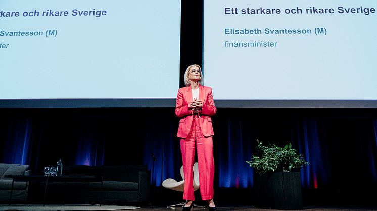 Elisabeth Svantesson under Mälartinget.jpg
