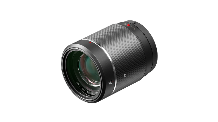 DJI DL 75_white_right 45.png