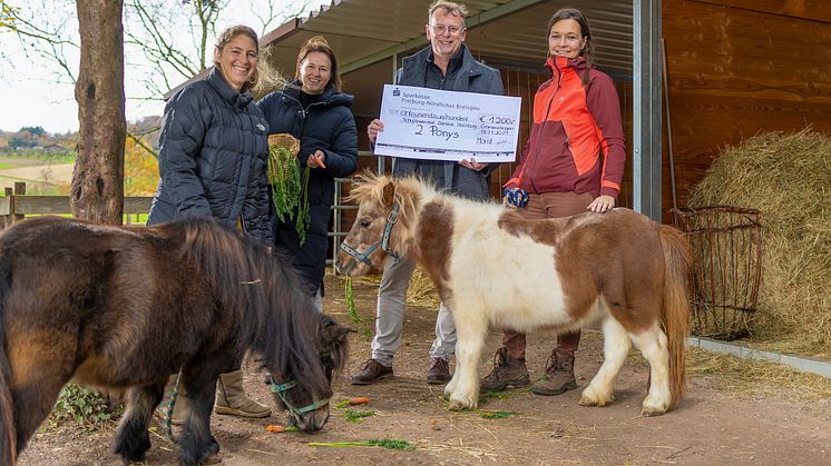 Sparkasse spendet 1.000 Euro und lecker Karotten für die beiden neuen Ponys des Schulbauernhofs der Domäne Hochburg.