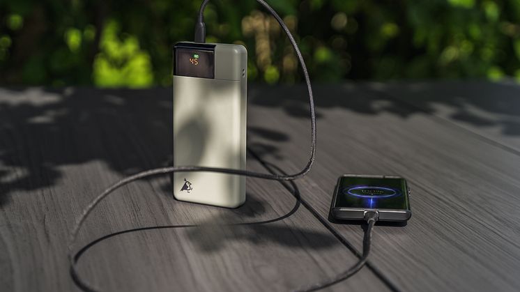 Aqiila Powerbird-5