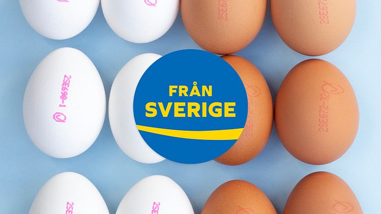 Ägg_FrånSverige.jpg