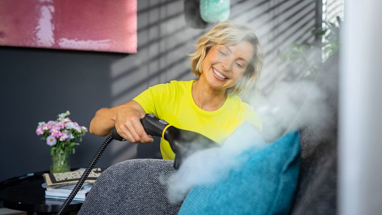 SC_garment_steamer_pillow_app_02_CI20-300_dpi.jpg