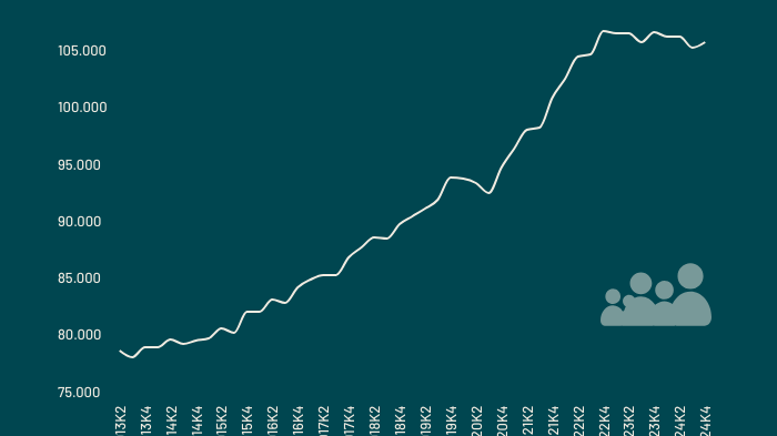 beskaeftigelsen-i-it-branchen-2024.png