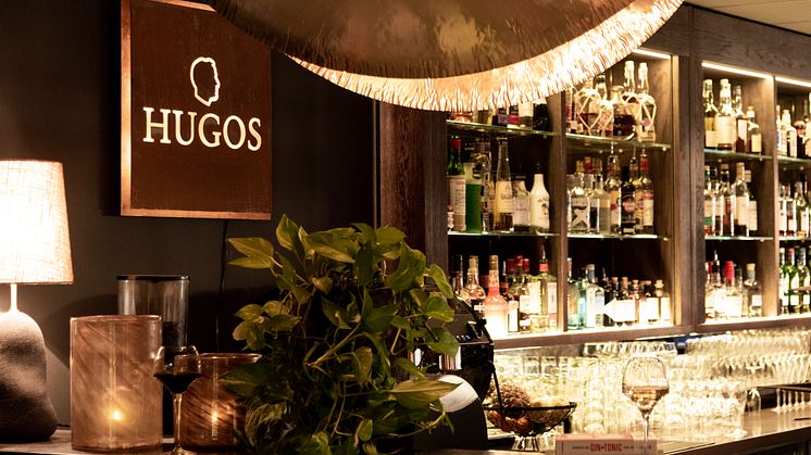 hugos-bar-arken-hotel-art-garden-spa-3169.jpg
