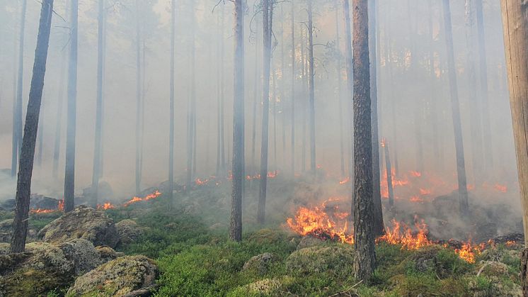 Naturvårdsbränningar i Falu kommun och Rättviks kommun