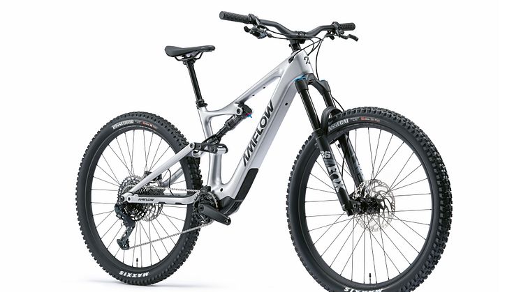 Amflow PL Carbon bike 1.jpg