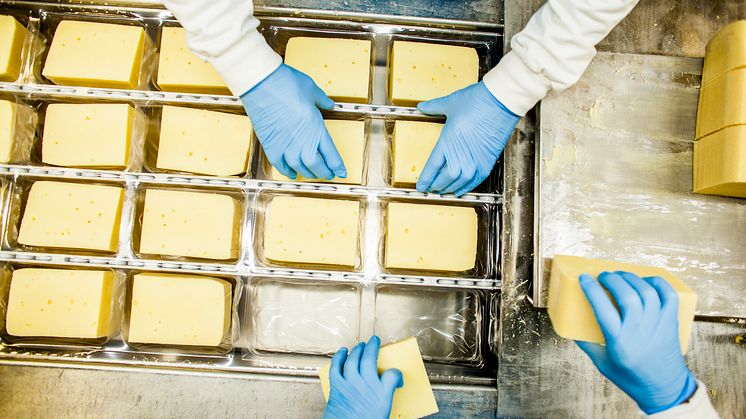 TINE investerer over 2 milliarder kroner i norsk hvitostproduksjon