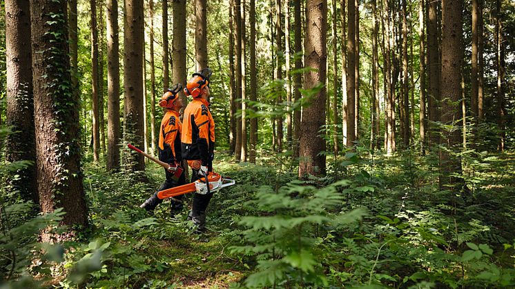 En rapport från STIHL belyser en enighet gällande inställningen till hållbarhet och klimatansvar i den nordiska skog- och grönytebranschen.