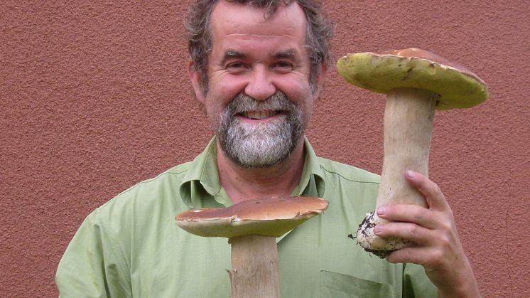 Pelle Holmberg svampentusiast