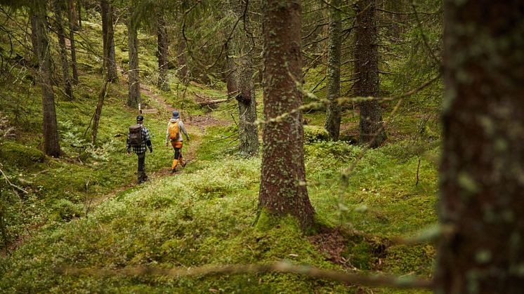 122965_ragnerud_413- Photo Cred Jonas Ingman.jpg