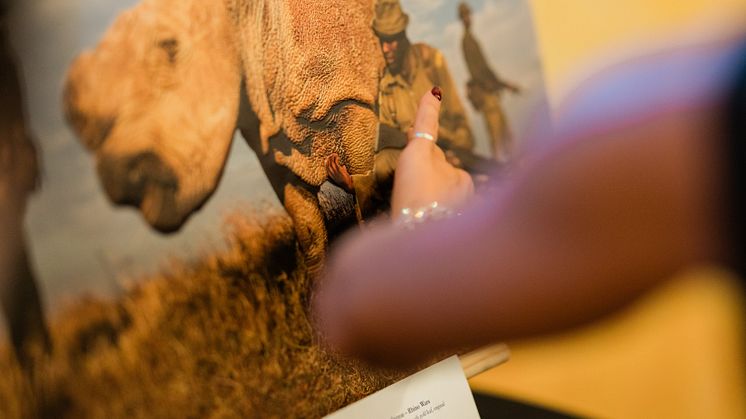 "Rhino Wars" av Brent Stirton