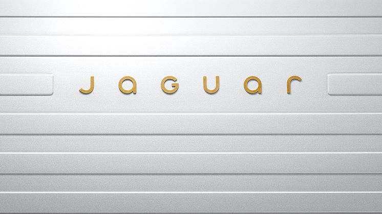 JAGUAR_DEVICE_MARK_4X5_191124.jpg