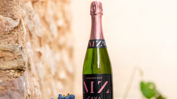 Hola! MZ Cava Rose