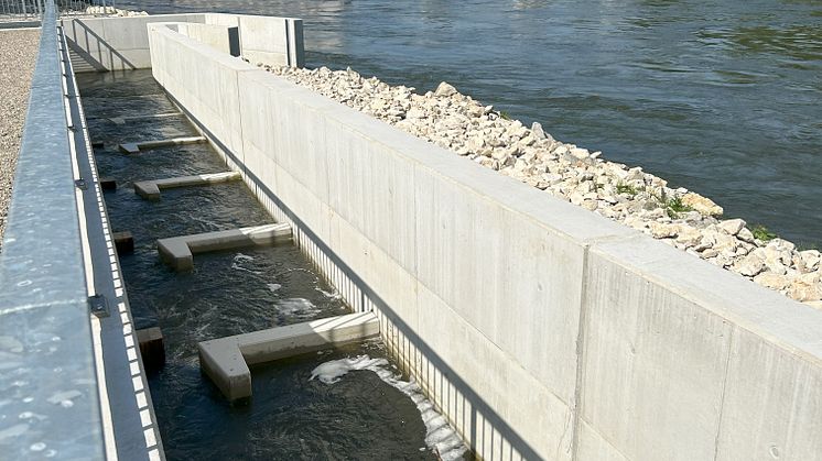 20240703_Fischwanderhilfe Einstiegsbauwerk
