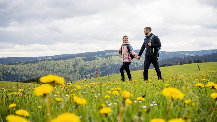 Kammweg Erzgebirge-Vogtland_Frühling_Foto TVE_Dirk Rückschloss.jpg