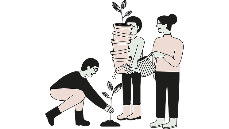 Odla, dela och väx tillsammans – Sjuhärads fröbibliotek öppnar i april