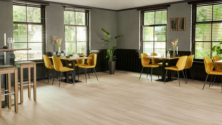 Medium-63641 light serene oak Allura click flexcore 040823.jpg