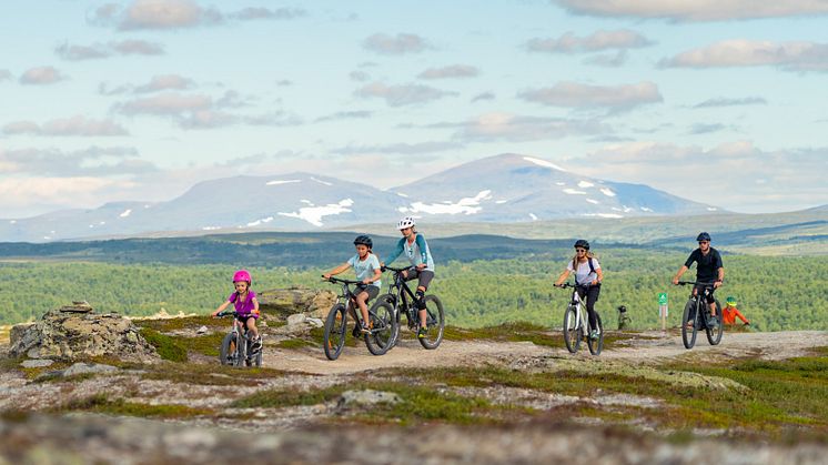 Fjällcykling i Tänndalen