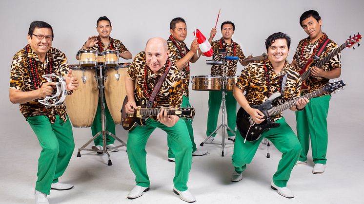 Los Mirlos