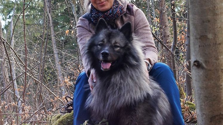 Canis f._Hundeberatung.jpg