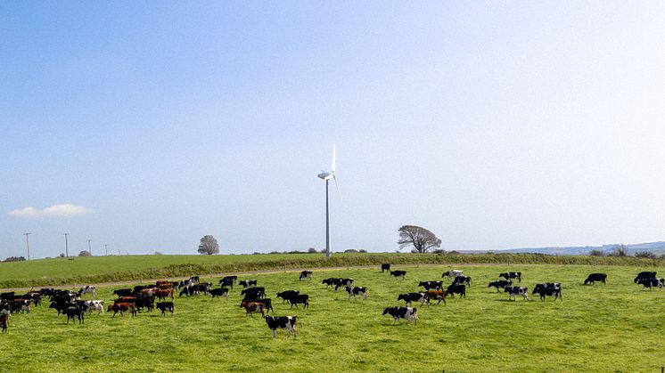 Grasslands at Farm Zero C