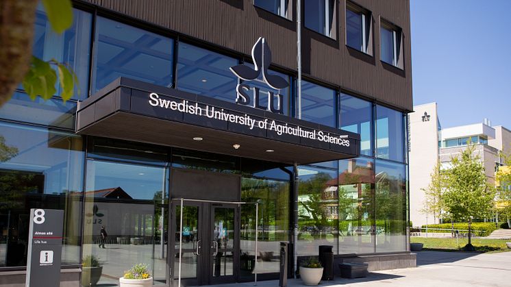 SLU_240522_7244_jsg.jpg