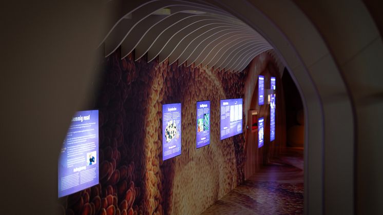 Universeum Lärmiljö Humans.jpg