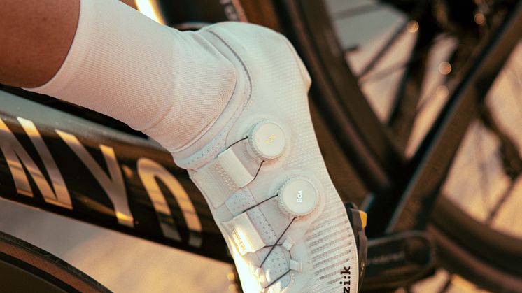 fizik_vega_17.jpg