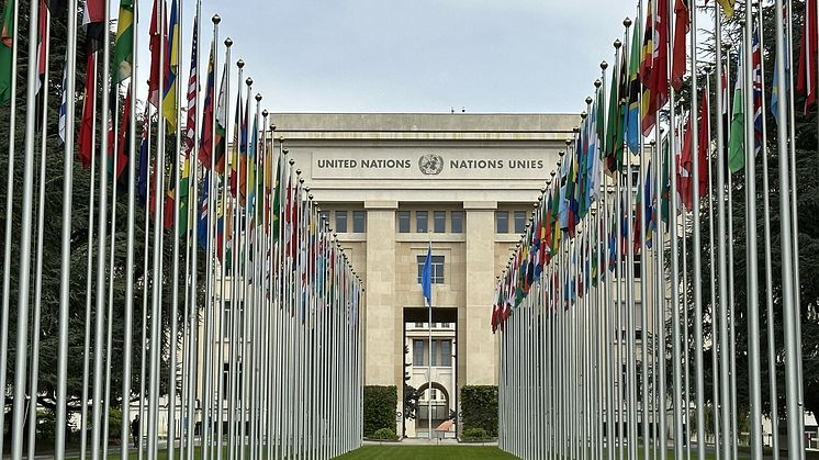 ICCO Europe Forum 2024.jpg