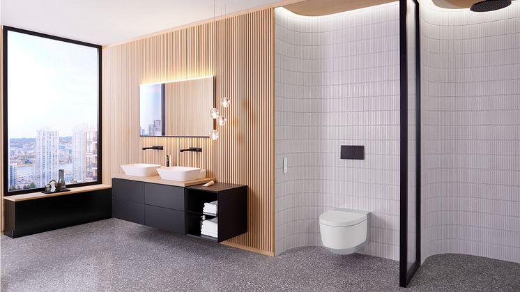 2023_Geberit AquaClean Mera chrome with remote control_ONE.jpg