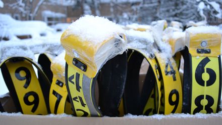 Tre år till med forskning om vilt och skog i Växjöområdet