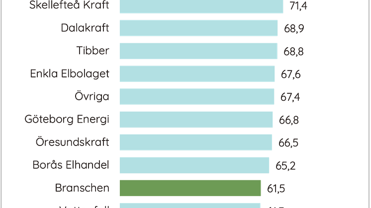 HI Elhandel privat 2024.png