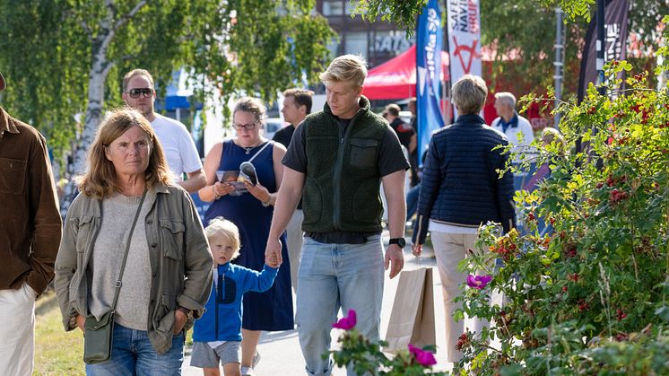 Allt pa sjon 2024-2.jpg