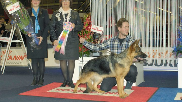 MyDOG 2012