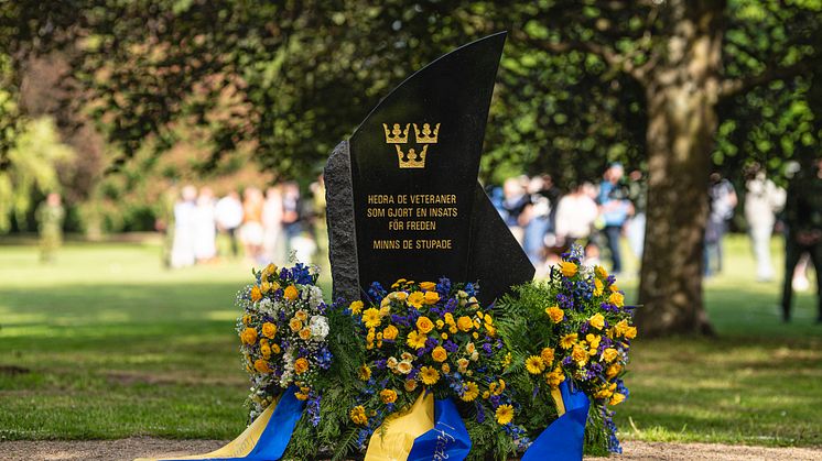 Veterandagen Ronneby Brunnspark 29 maj 2024