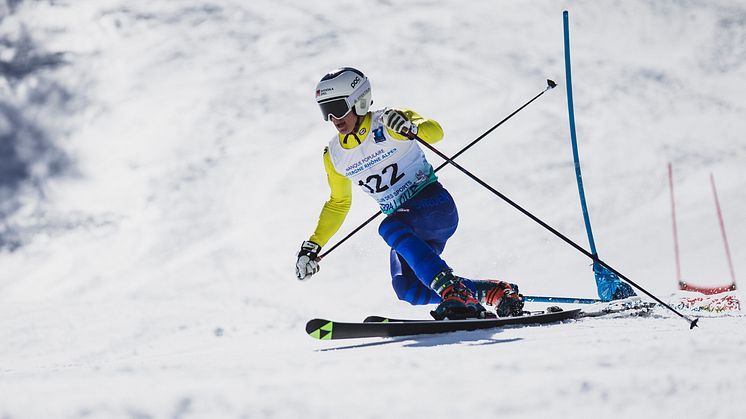 Alvin-Noaksson-foto Sam Decout @fistelemark.jpg