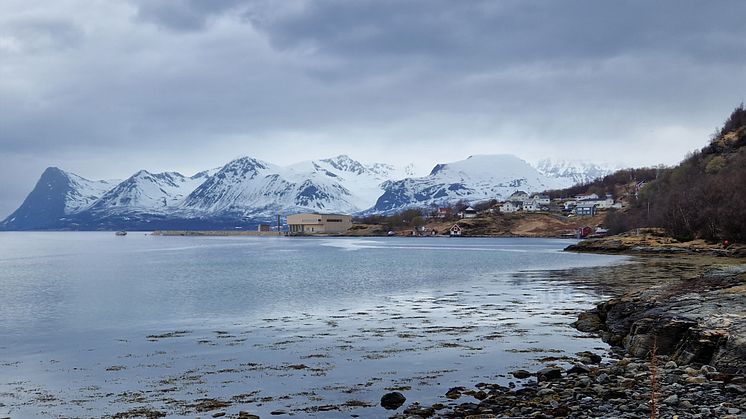 Trondenes_Ringberget -.jpg
