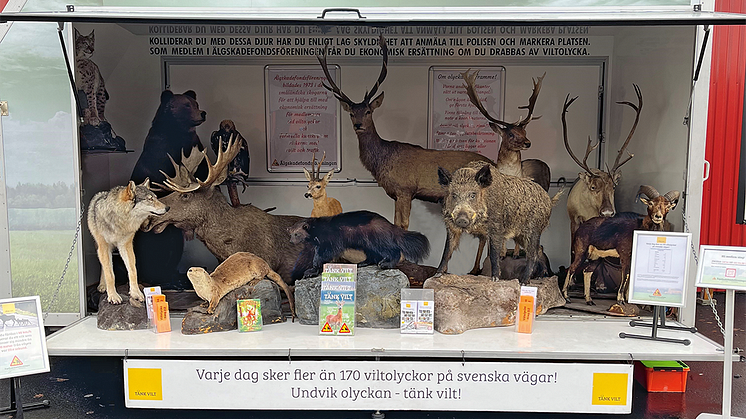 Paragraf 40 vagnen med anmälningspliktigt vilt.png