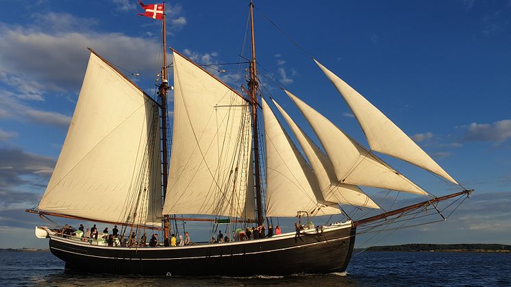 Bonavista_NatMusDK.jpg