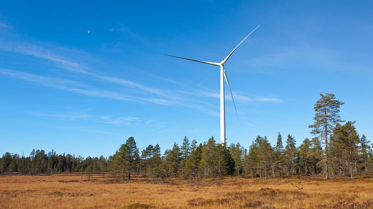 Ny undersökning om framtidens vindkraft.
