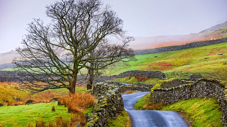Motorists perform risky manoeuvres and divert to dangerous rural roads to avoid motorway traffic jams